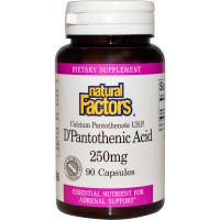 Natural Factors, D-пантотеновая кислота, 250 мг, 90 капсул