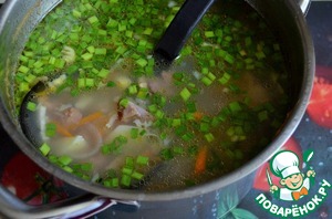 Суп из гуся — рецепт с фото пошагово