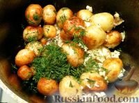 Фото приготовления рецепта: Молодой картофель, жаренный с чесноком и укропом - шаг №8