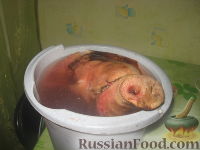 Фото приготовления рецепта: Паштет из свиной головы и потрохов - шаг №2