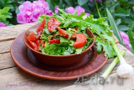 Ароматный, полезный и очень простой в приготовлении салат с рукколой, помидорами и огурцами непременно порадует вас своим ярким, свежим вкусом. Подать его можно к любому горячему блюду или гарниру.