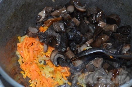 Белые грибы отварить, порезать, добавить к луку и моркови. Тушить 10 минут.