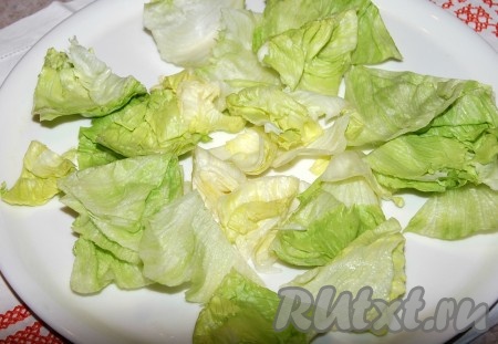 Листовой салат помыть, обсушить, нарезать и разложить на тарелке.