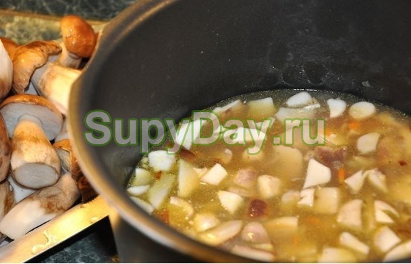 Суп из свежих белых грибов с картофелем от Юлии Высоцкой