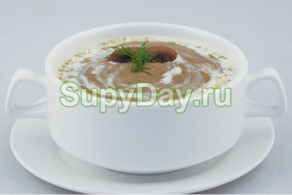 Крем суп из белых грибов и куриного бульона