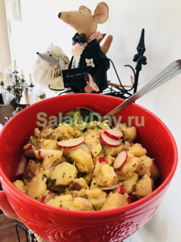 Немецкий картофельный салат с редисом и медом