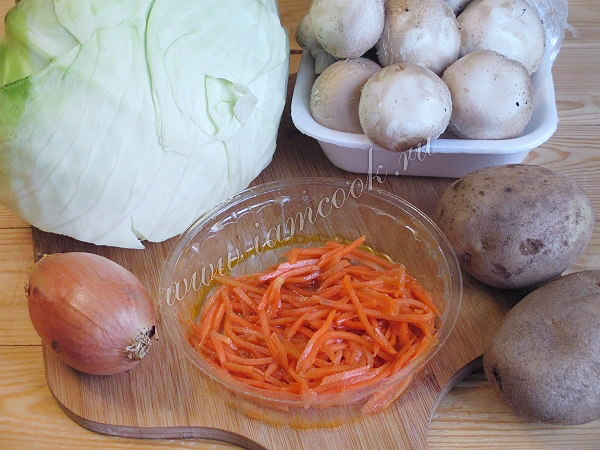 Русские щи из свежей капусты с грибами – кулинарный рецепт