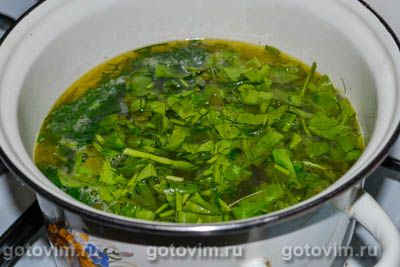 Зеленый суп из щавеля на курином бульоне, Шаг 06