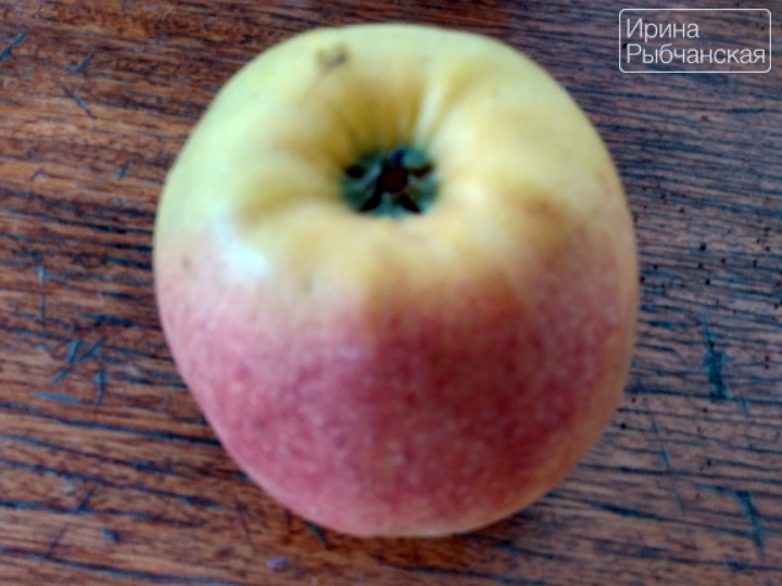 Блины с яблочным припеком — рецепты с фото пошагово