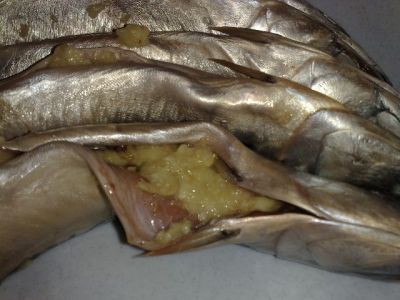 Шашлык из рыбы на мангале - какую рыбу выбрать и как приготовить шашлык из рыбы