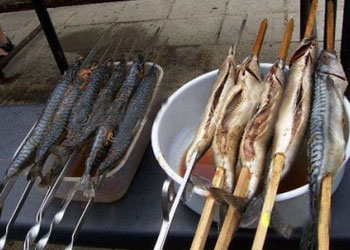Шашлык из рыбы на мангале - какую рыбу выбрать и как приготовить шашлык из рыбы