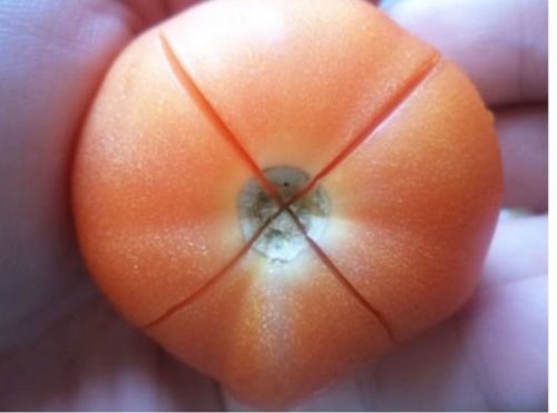 Малосольные помидоры черри быстрого приготовления - 4 рецепта с фото