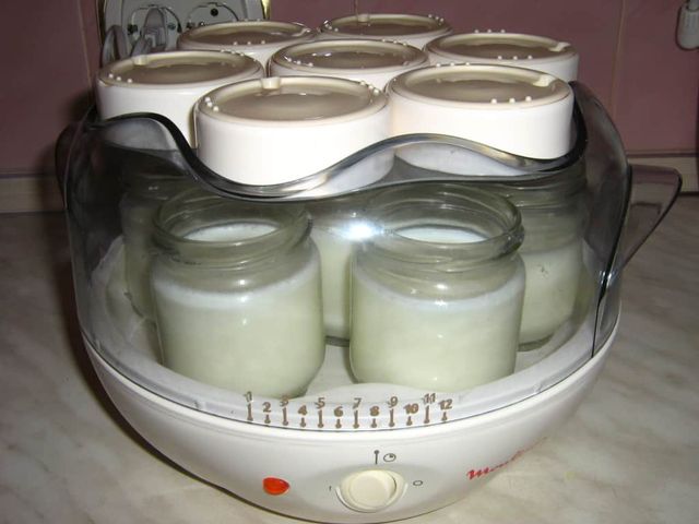 приготовление мацони в йогуртнице