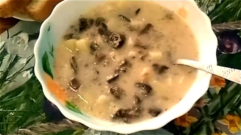 Грибной суп из свежих грибов с плавленным сыром