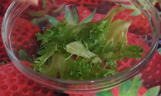 Выкладываем листья салата