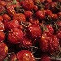 Компот шиповник + смородина