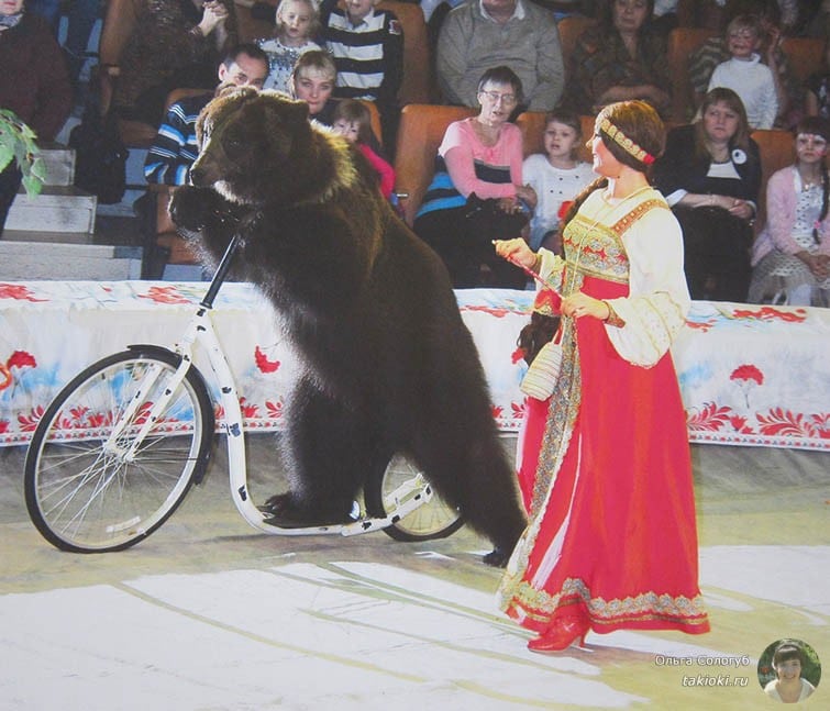 Цирк Екатеринбург