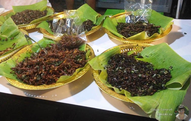 Жареные жуки в Хуа Хине