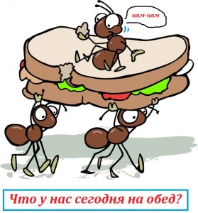 Спасите меня от муравьев!
