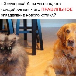 Собираемся в Малайзию за тайской визой