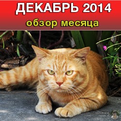 Декабрь 2014 - обзор месяца. Подведение итогов