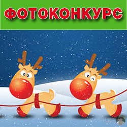 Фотоконкурс «Новогодний кадр 2015»