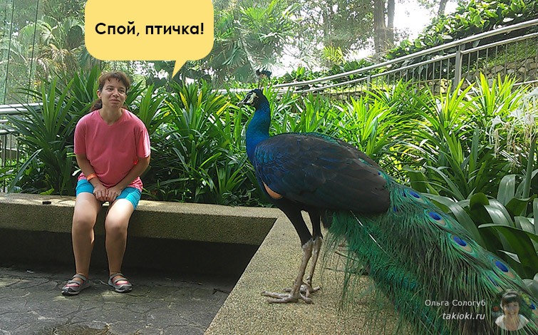 Парк птиц В куала-Лумпуре