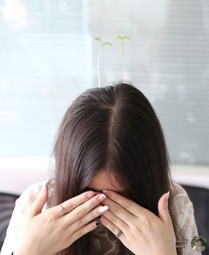 Sprout-Hair-Pins7__700