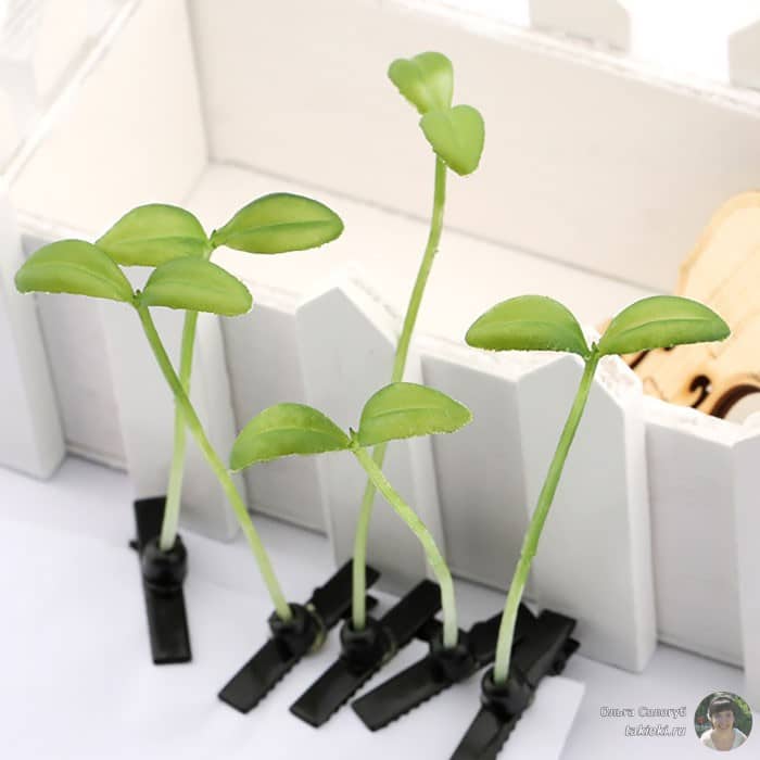 sprout-hairpins-china-trend-14__700