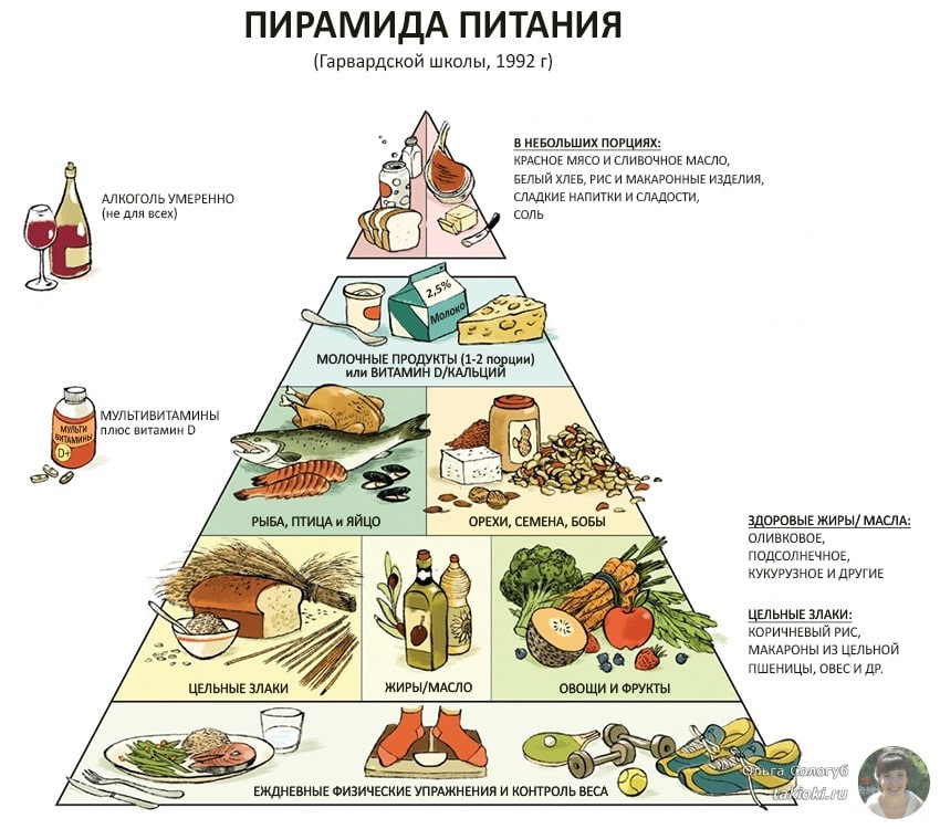 гарвардская пирамида здорового питания 