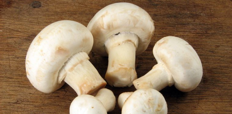 Жарим шампиньоны на сковороде — советы как выбрать грибы и 3 способа вкусно их приготовить