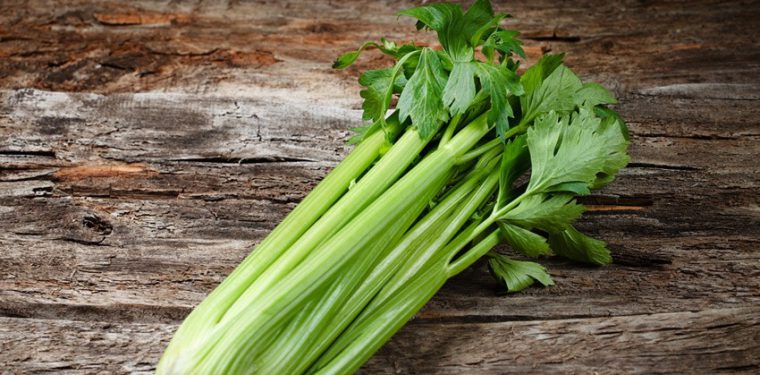 Как употреблять сельдерей для похудения – семидневная диета на этом чудо-овоще + вкусные рецепты