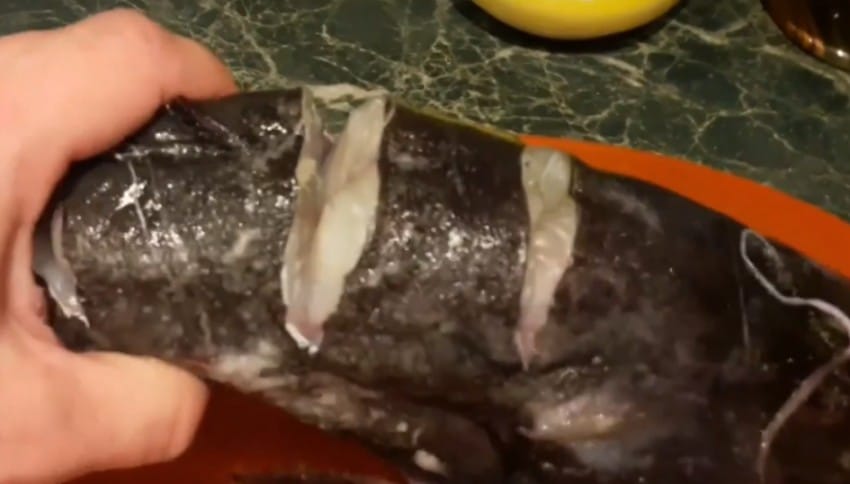 Как приготовить сома в духовке? 6 рецептов вкусной запеченной рыбы