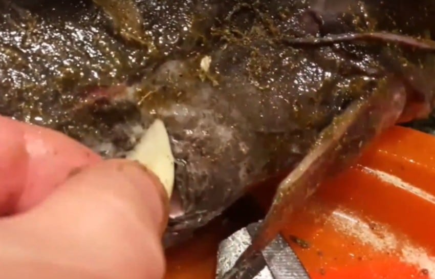 Как приготовить сома в духовке? 6 рецептов вкусной запеченной рыбы
