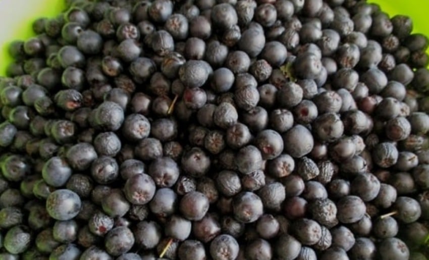 Варенье из черноплодной рябины в домашних условиях – простые рецепты приготовления