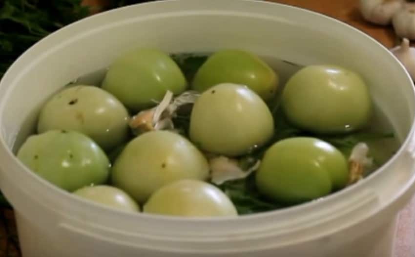 Бочковые зеленые помидоры – 4 рецепта соленых помидор в домашних условиях