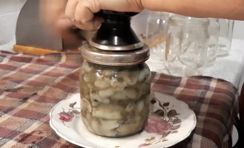 Как мариновать маслята на зиму? 7 рецептов приготовления грибов в домашних условиях