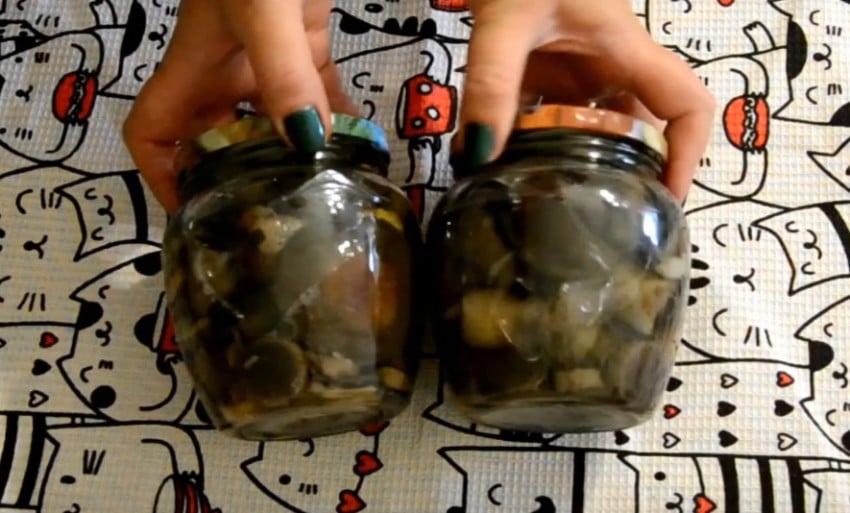 Как мариновать подберезовики на зиму? 4 простых рецепта маринованных грибов в банках