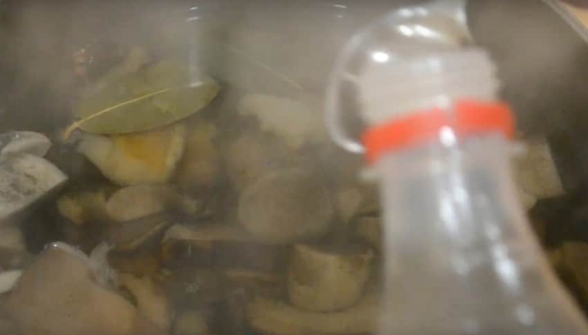 Как мариновать подберезовики на зиму? 4 простых рецепта маринованных грибов в банках