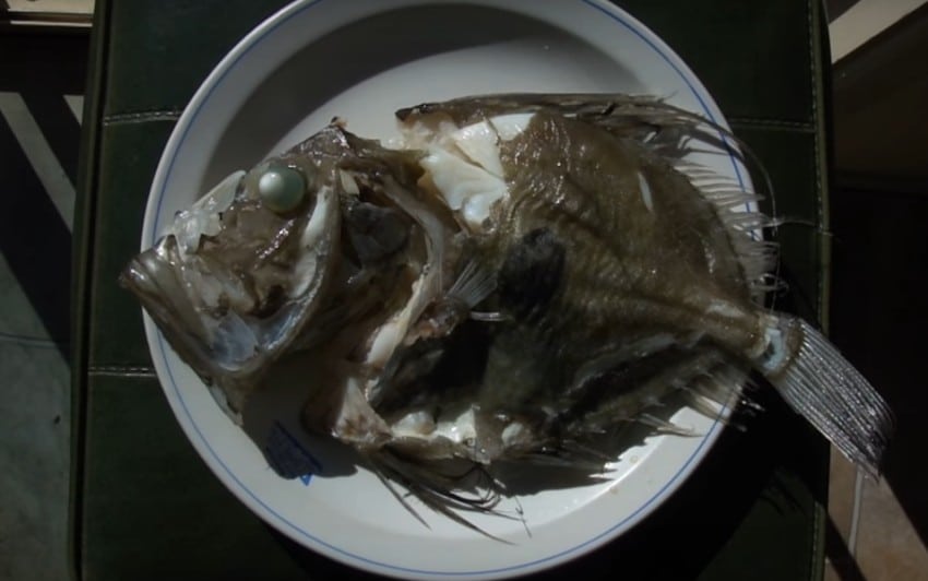 Как приготовить рыбу дори? 5 рецептов приготовления вкусной рыбы