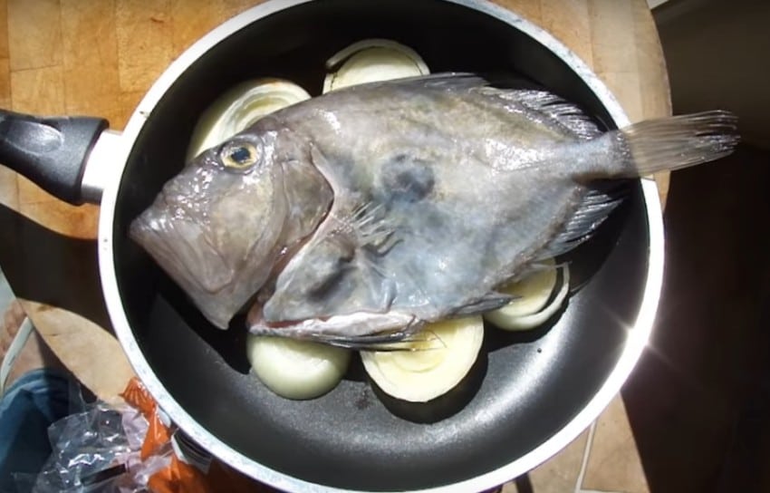 Как приготовить рыбу дори? 5 рецептов приготовления вкусной рыбы