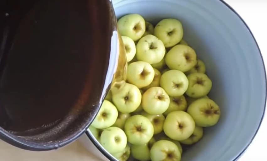 Моченые яблоки на зиму – 6 простых рецептов приготовления в домашних условиях