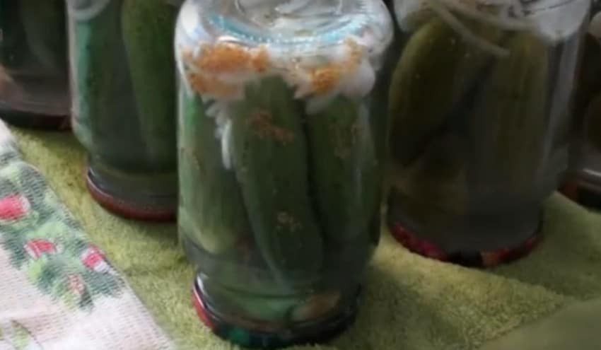 Огурцы, маринованные с семенами горчицы – 4 рецепта хрустящих огурцов на зиму