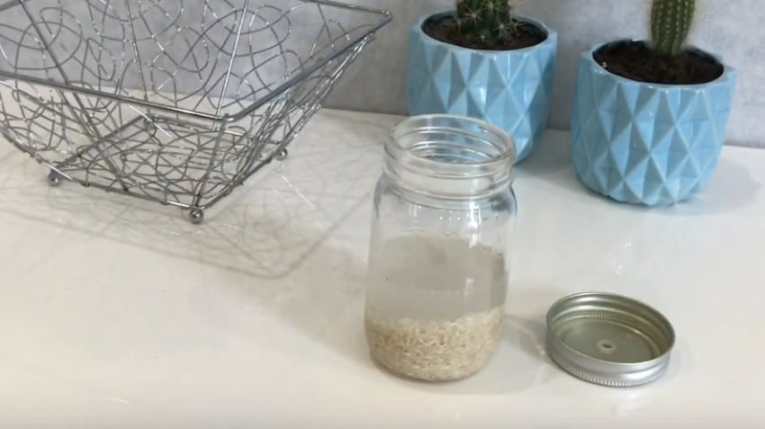 Как приготовить рисовое молоко в домашних условиях? 2 самых вкусных рецепта приготовления