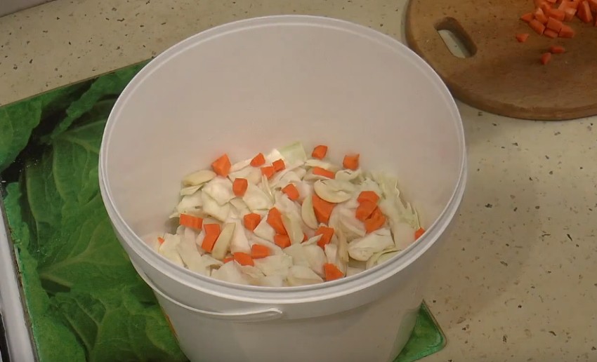 Маринованная капуста с чесноком быстрого приготовления: 5 рецептов