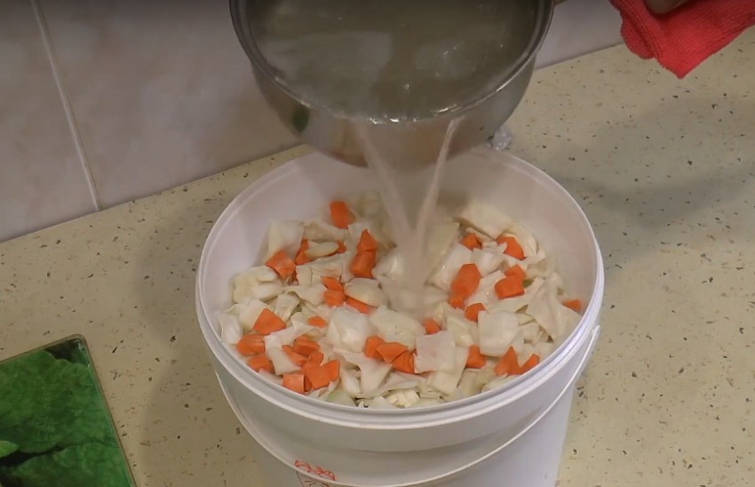 Маринованная капуста с чесноком быстрого приготовления: 5 рецептов