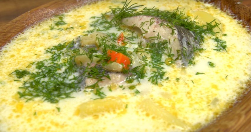 Уха из головы форели и хвоста: 5 рецептов как сварить суп просто и вкусно