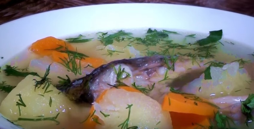 Уха из речной рыбы в домашних условиях: 5 вкусных рецептов